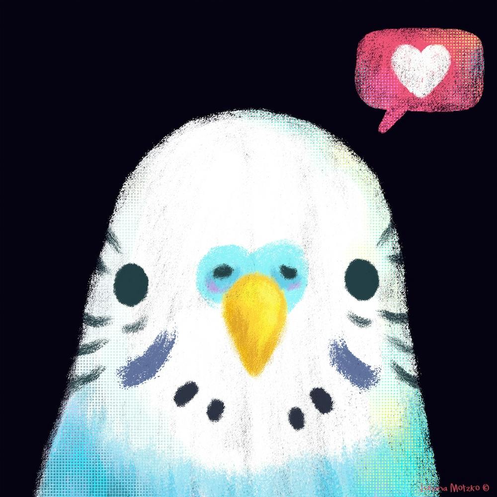 Blue Budgerigar Square