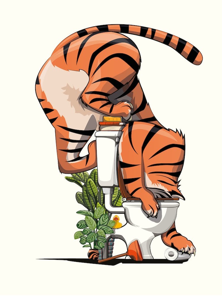 Tiger Drinking From Toilet