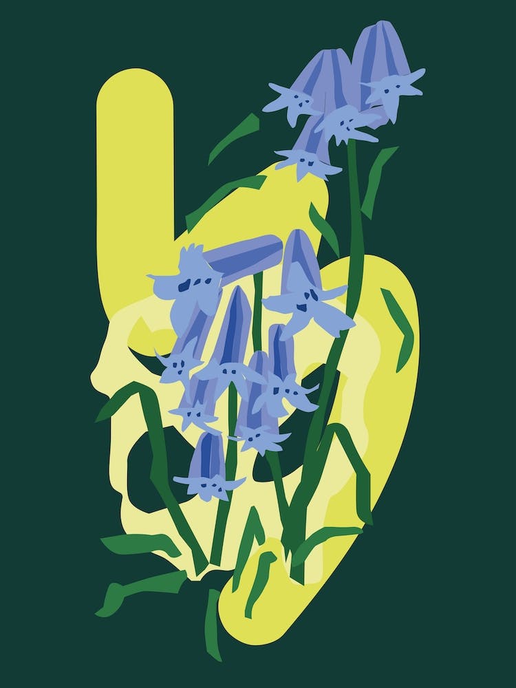 Bluebells At Night