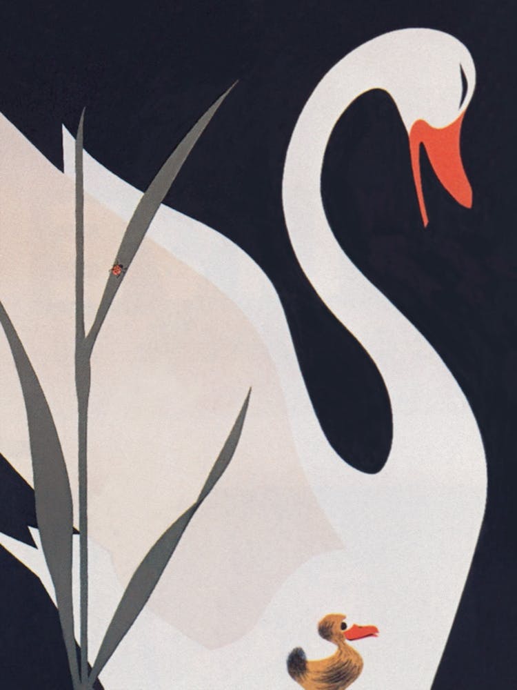 Swan And Duckling Vintage Print