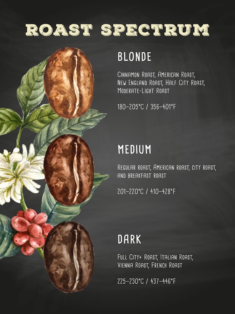 Coffee Roast Spectrum — coffee poster, kitchen art print