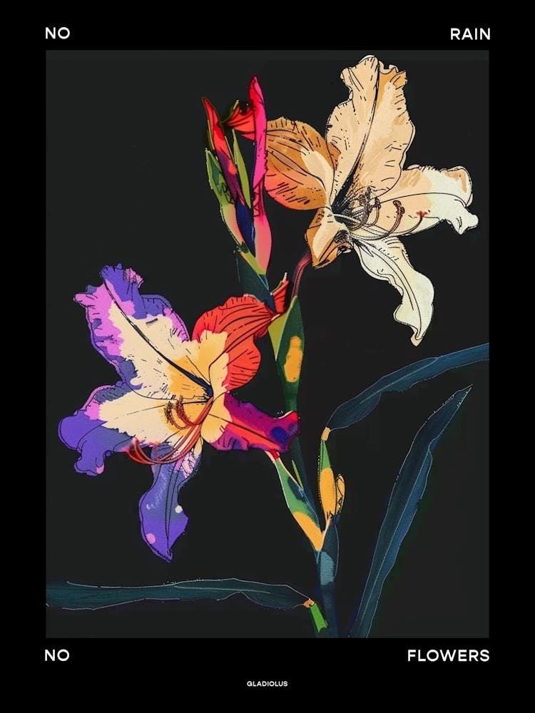 No Rain No Flowers Poster Gladiolus 4