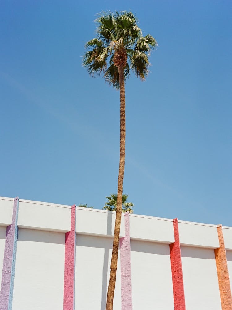 Palm Springs auf Film