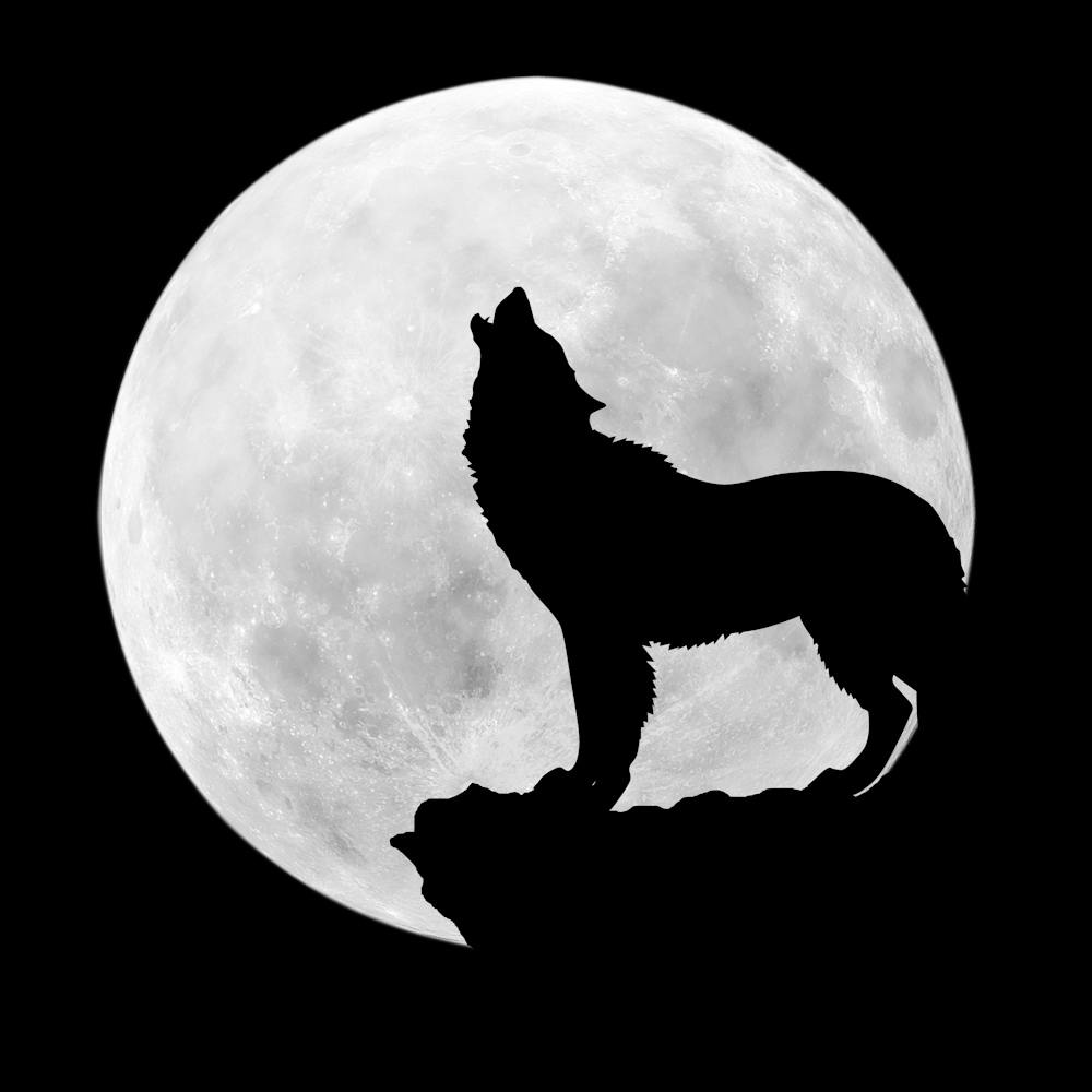 Howling Wolf