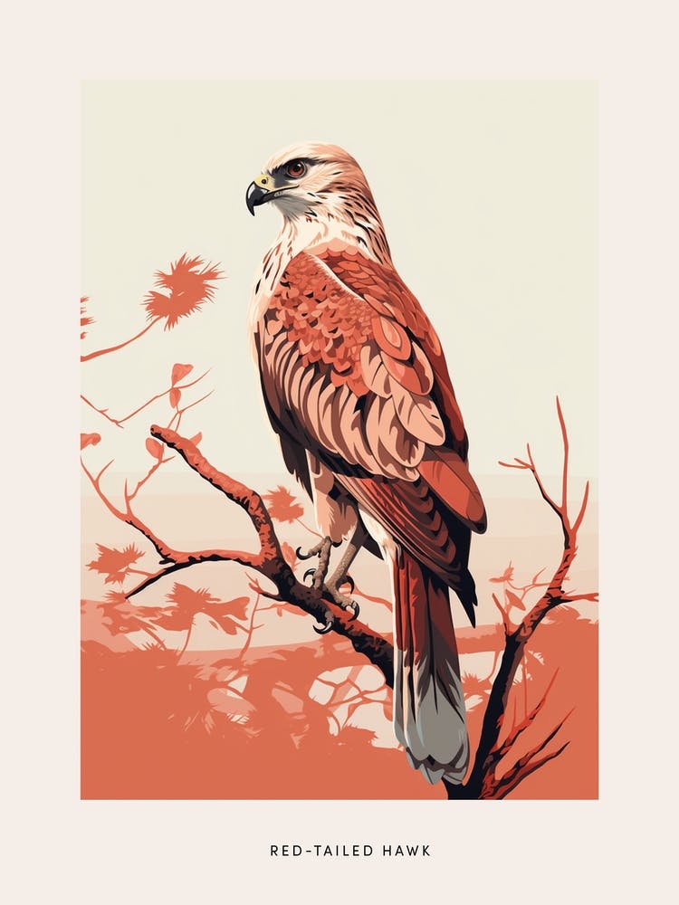 Minimalist Red Tailed Hawk 3 Bird Poster