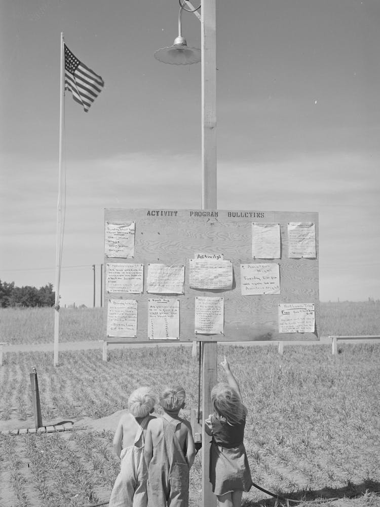 Children At The Farm Activities Bulletin Board At The Fsa (Farm Security Administration) Migratory Farm Labor