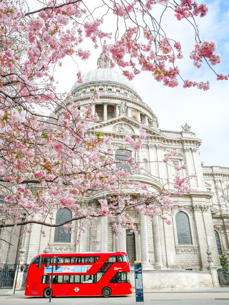 St Paul'S In Spring