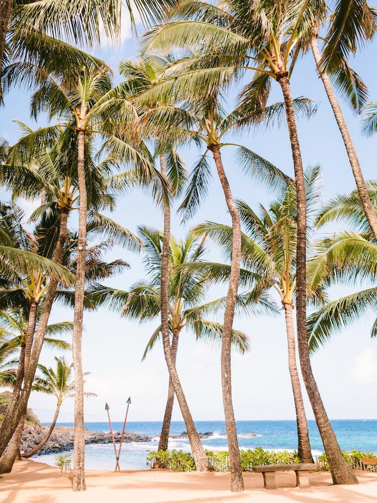 Hawaii Mamas Fish House