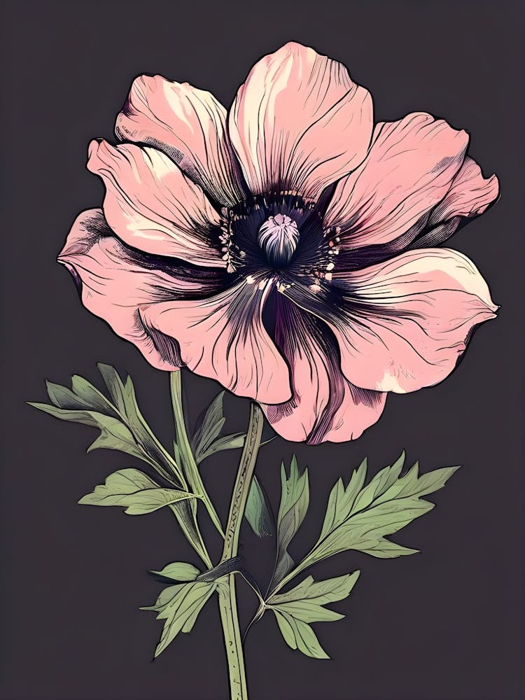 Anemone 3