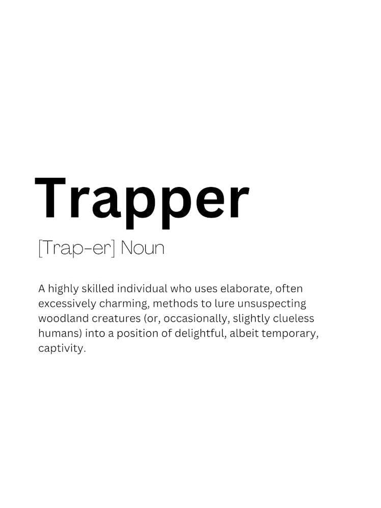 Trapper Definition Meaning
