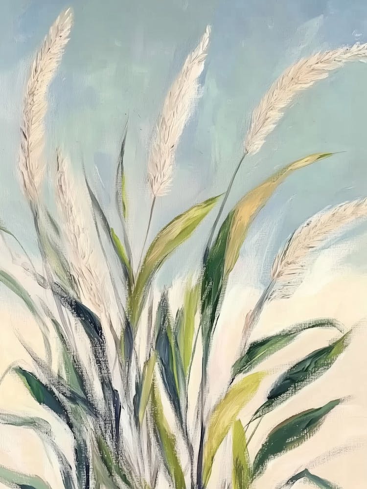 Pampas Grasses