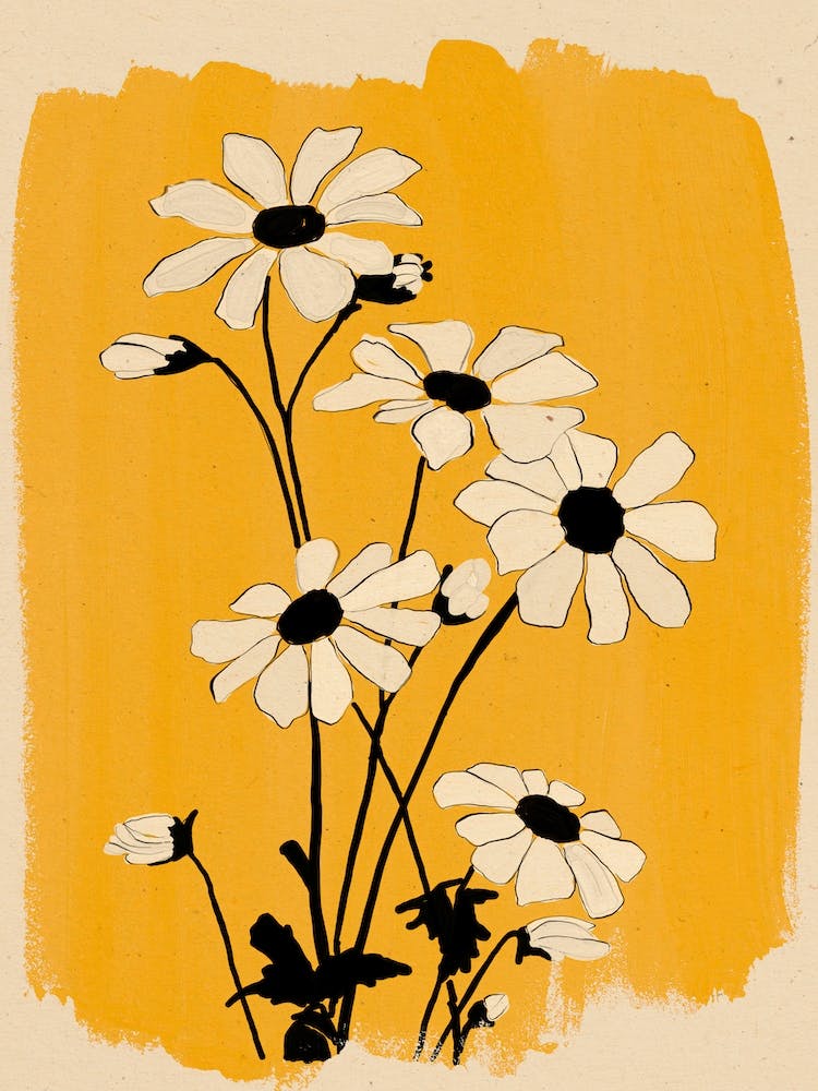Daisy Flowers 9