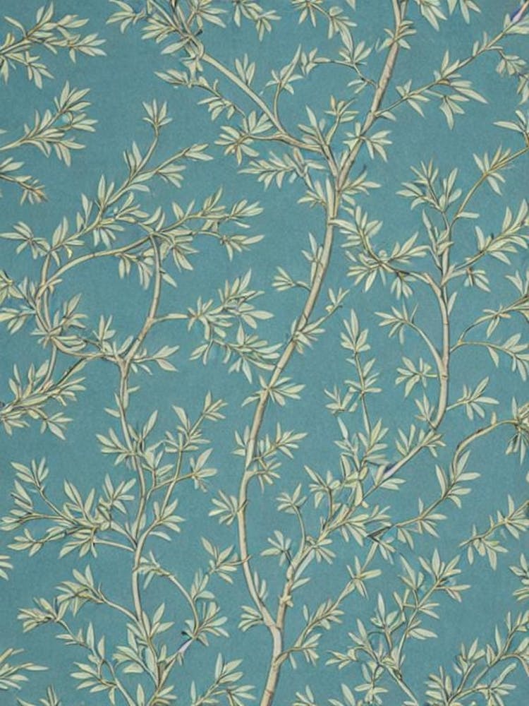 Pitch Pine tree Vintage Botanical