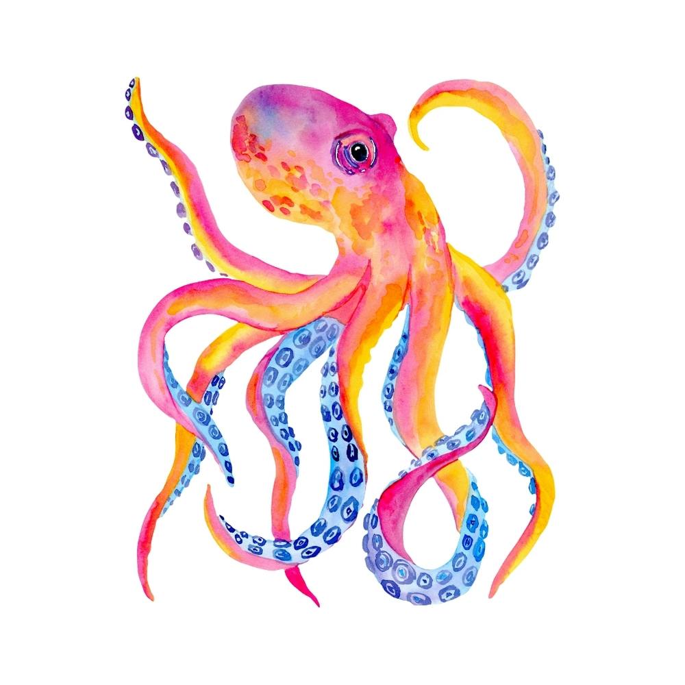 Octopus Watercolor Painting