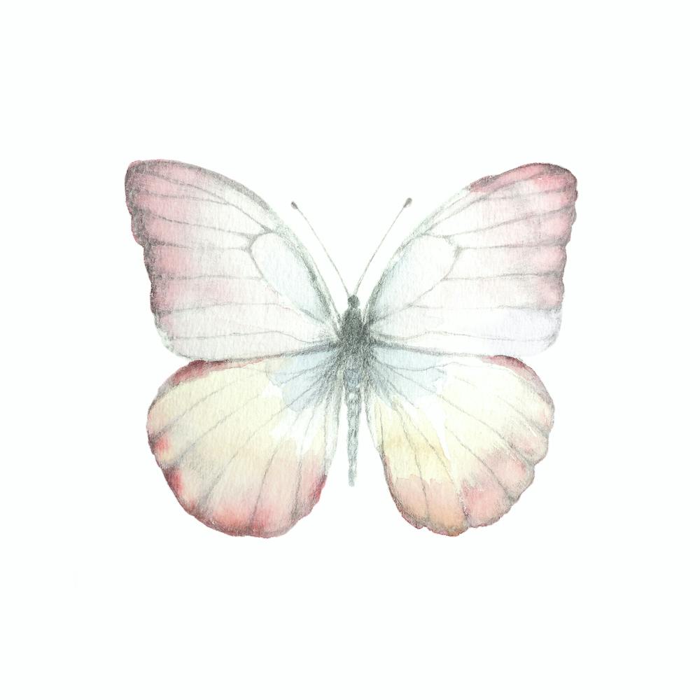 Watercolor Butterfly