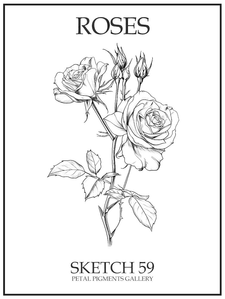 Roses Sketch 59 Poster