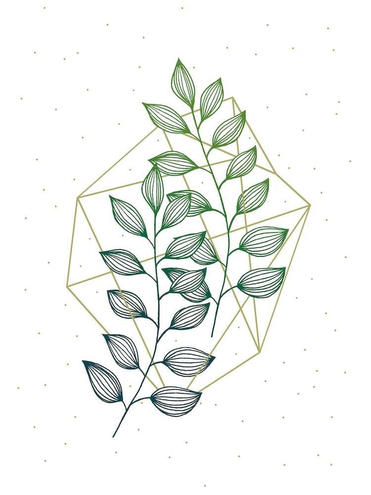 Geometry And Nature 3