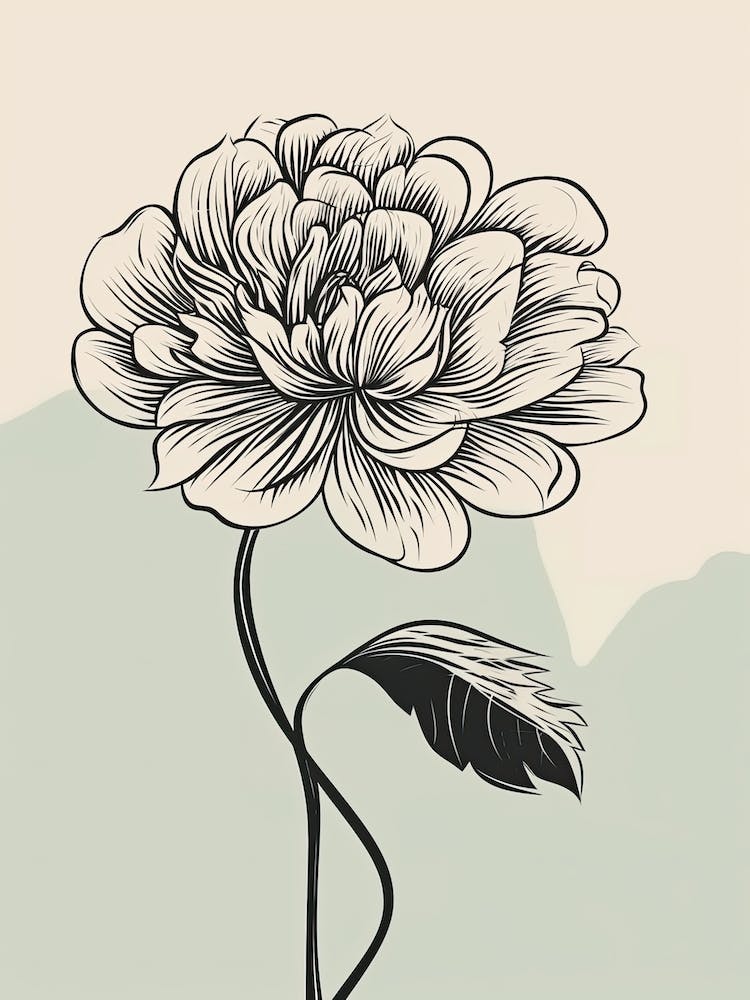 Dahlia Line Art Flowers Illustration Neutral 1