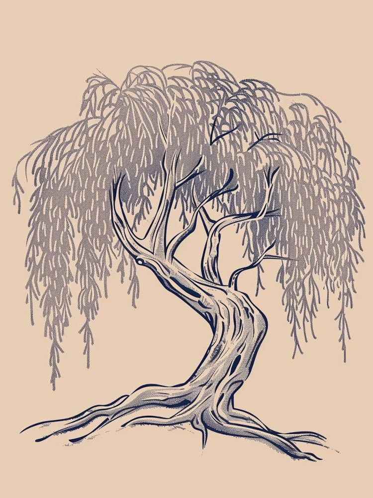 Willow Tree Minimalistic Drawing 2
