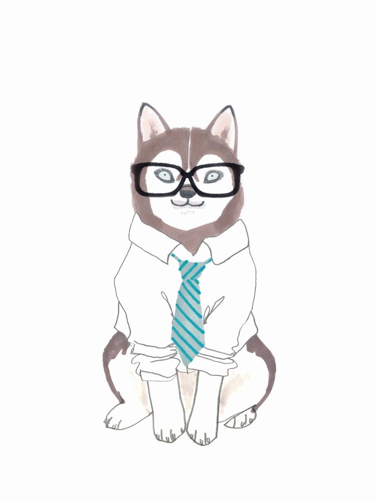 Husky Hipster