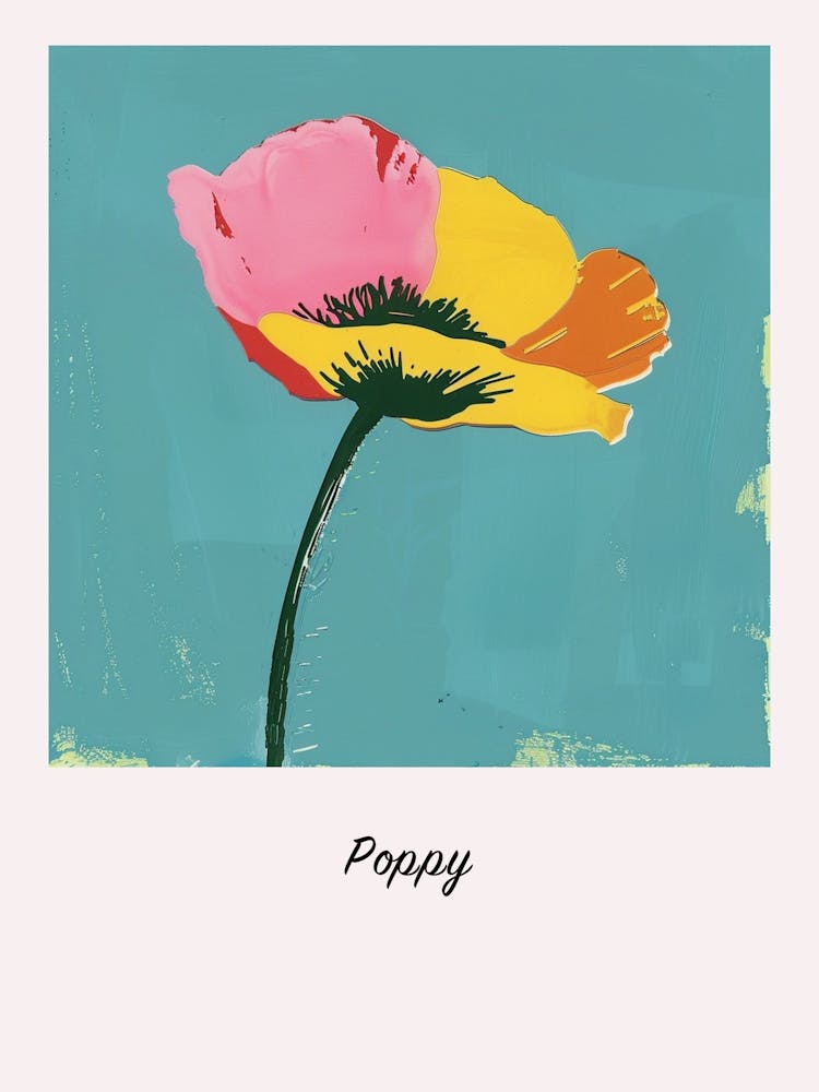 Poppy 3 Square Flower Illustration Poster
