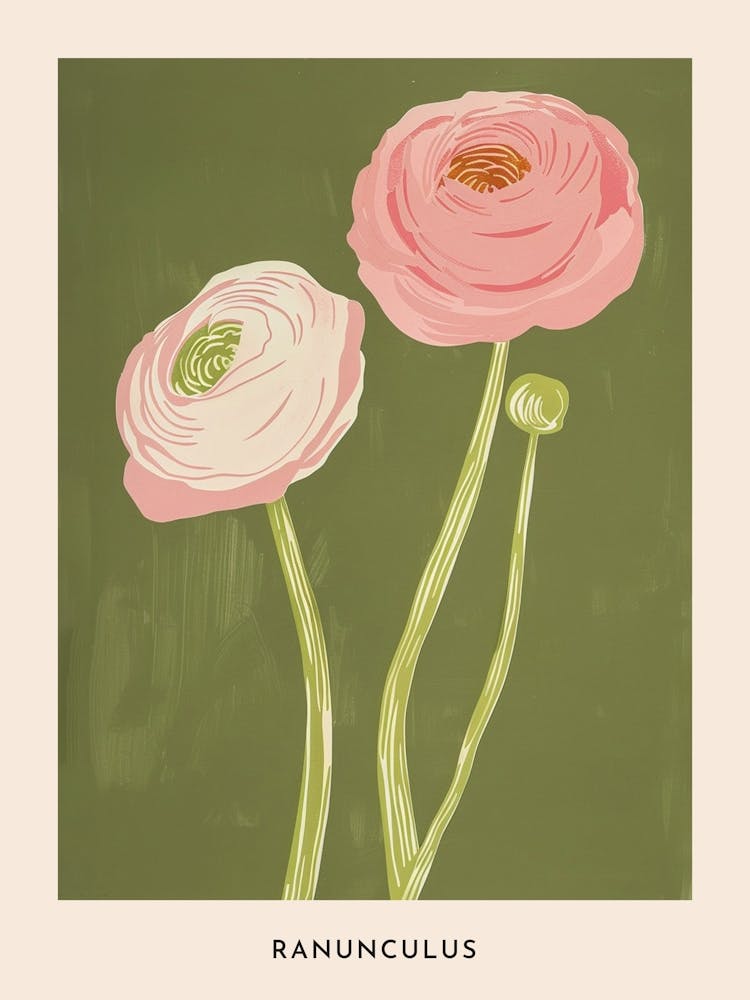 Pink & Green Ranunculus 3 Flower Poster