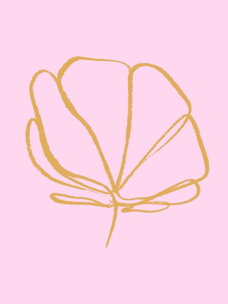Blume auf rosa Hintergrund