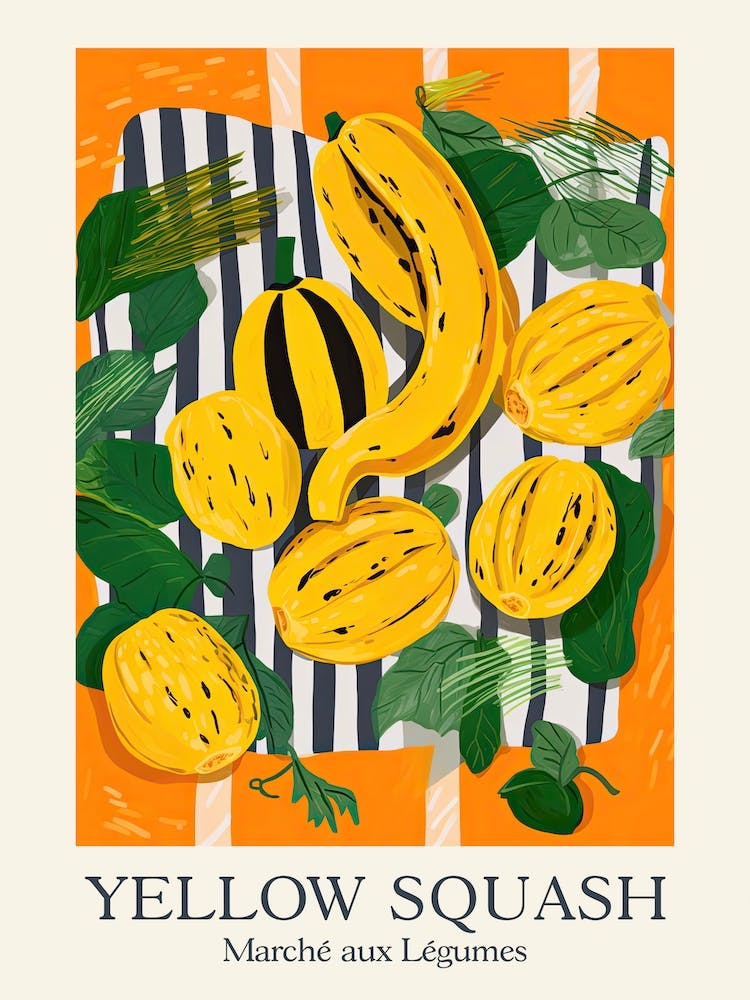 Marche Aux Legumes Yellow Squash Summer Illustration 1
