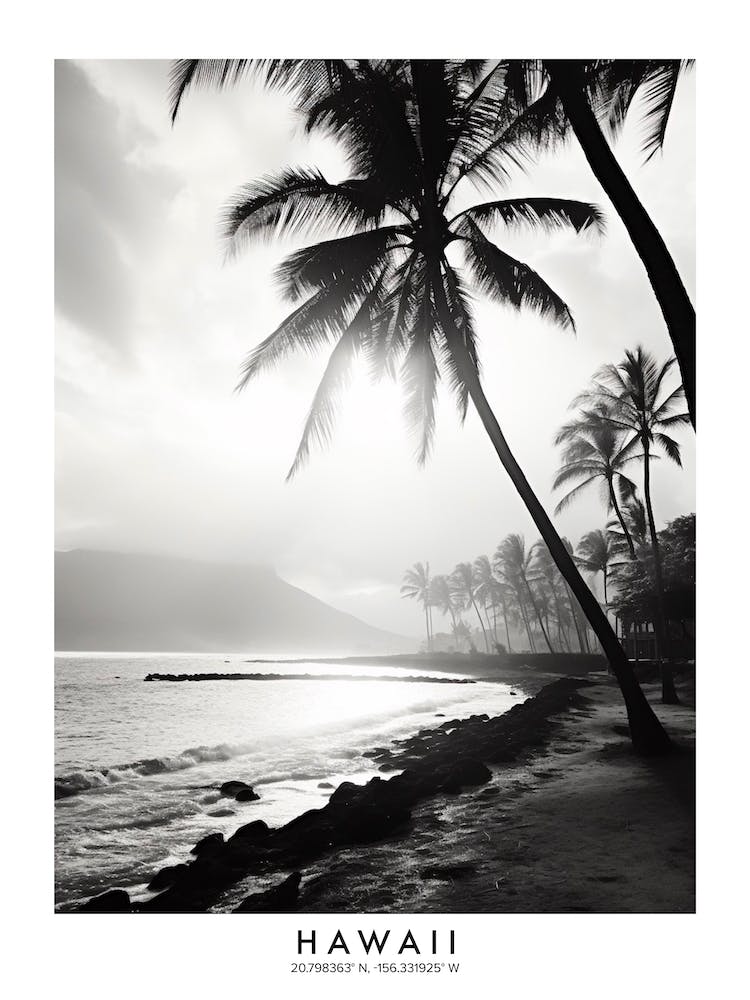 Poster Of Hawaii, Black And White Analogue Photograph 1