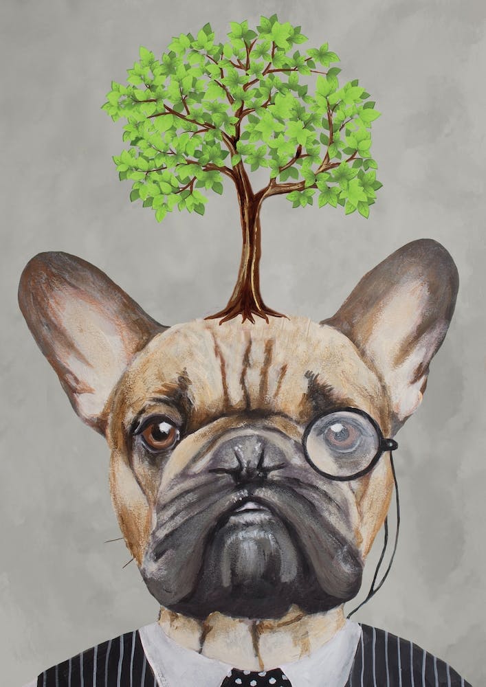 French Bulldog With Tree