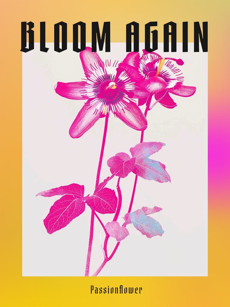 Hot Pink Passionflower Poster