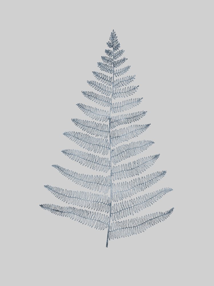 Botanica Minimalistica Grey