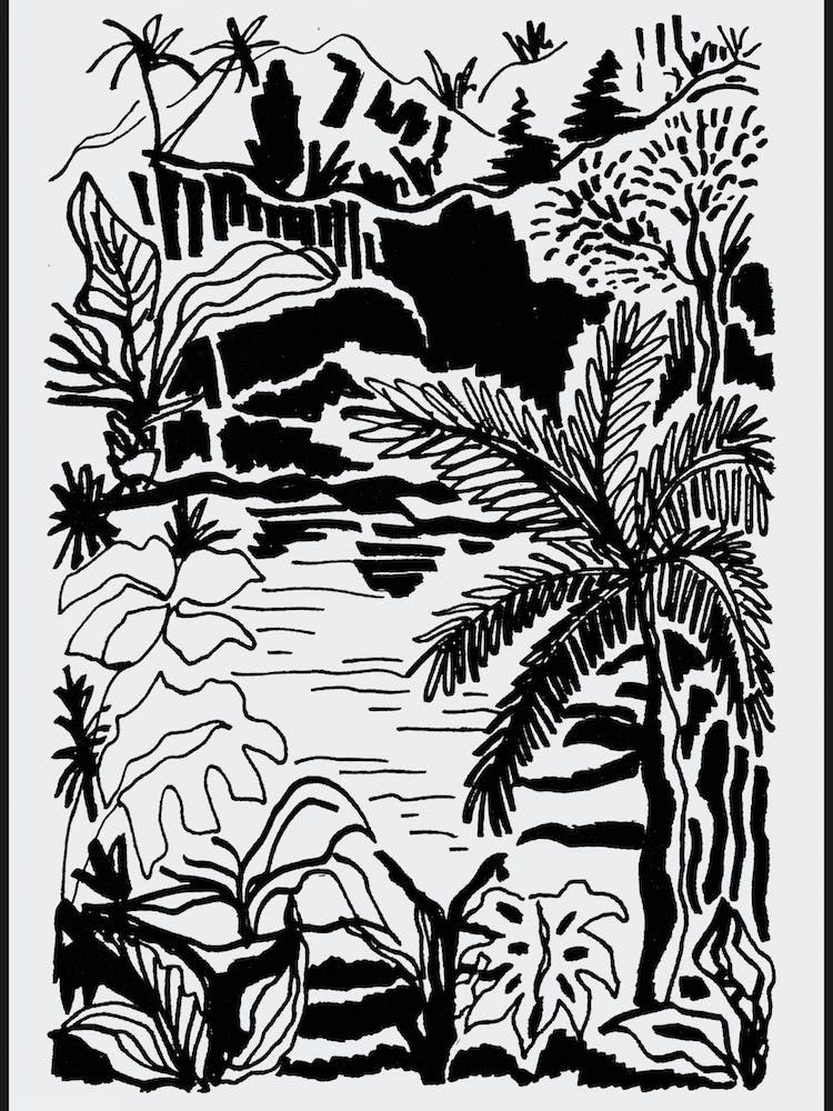 Landscape Of The Tropics