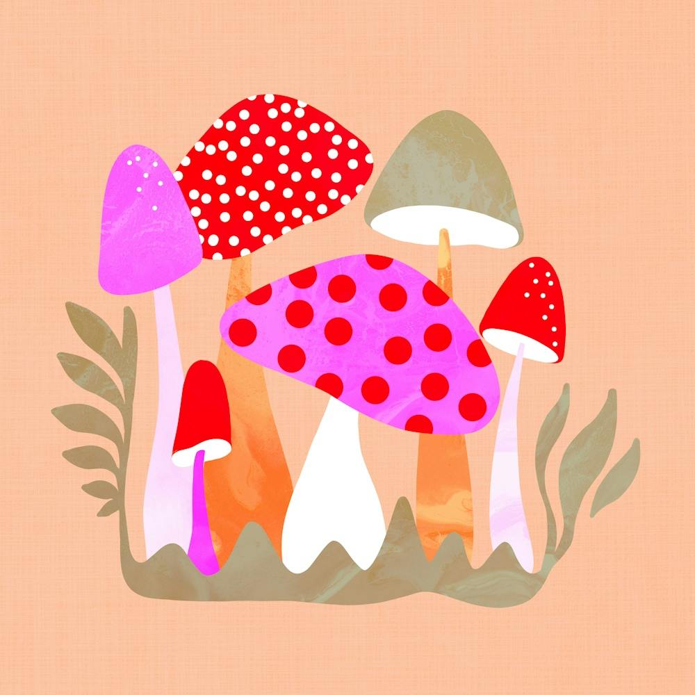 Mushroom Friends all shapes and sizes Pink Red Peach fuzz