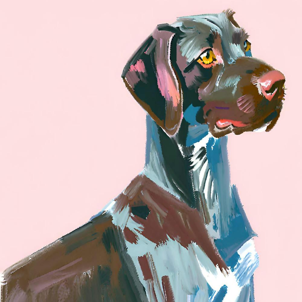 German Shorthaired Pointer 03