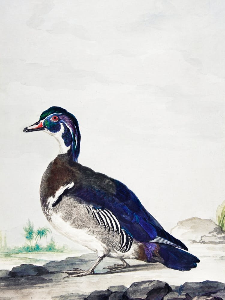 Vintage Bird_2835787
