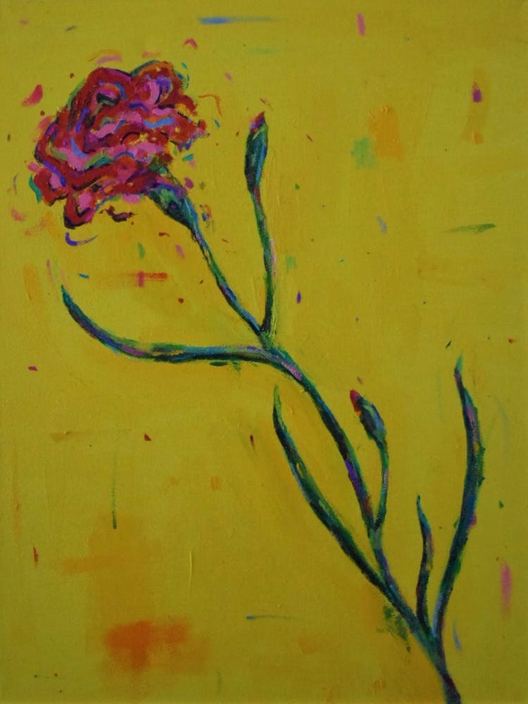 Red Carnation In Yellow