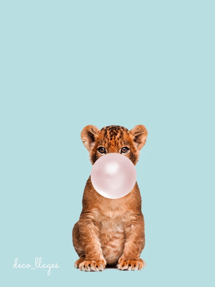 Bébé félin avec chewing-gum