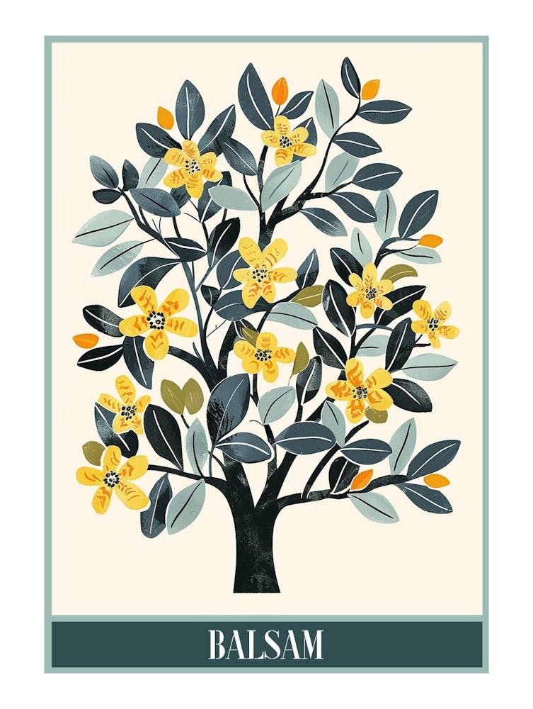 Balsam Tree Flat Illustration 1 Poster