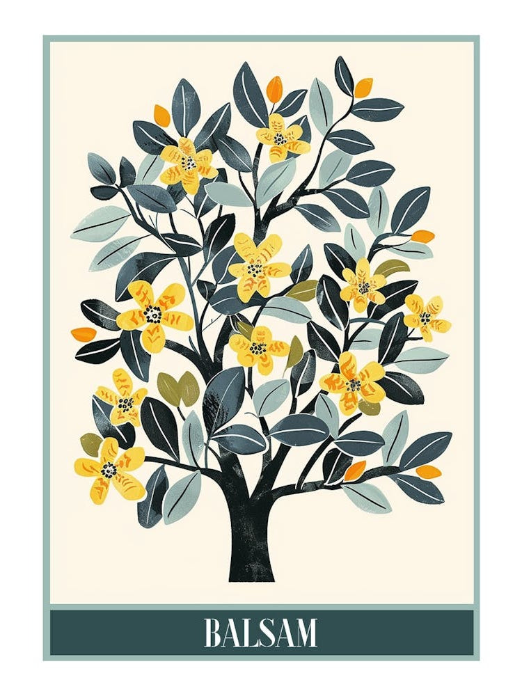 Balsam Tree Flat Illustration 1 Poster
