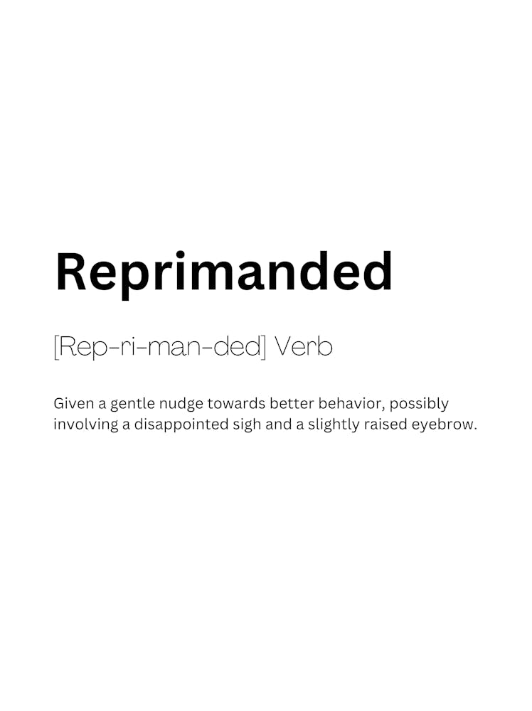Reprimanded Definition Meaning