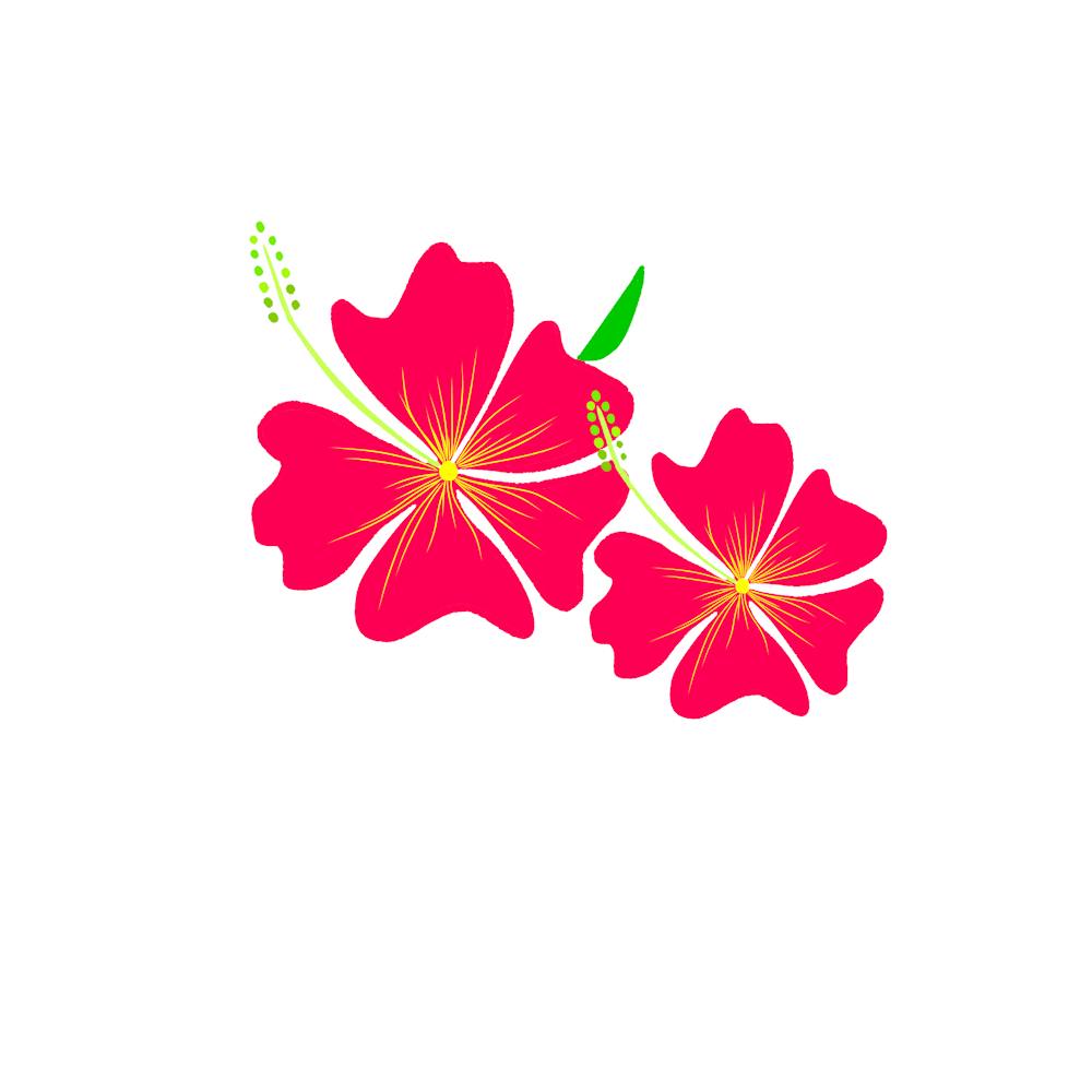 Hibiskus Rot