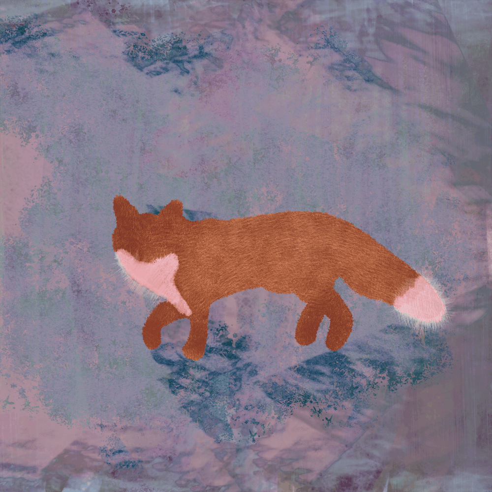 Fox in the Snow