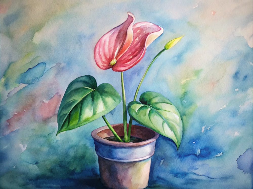 Pink Flower In A Pot