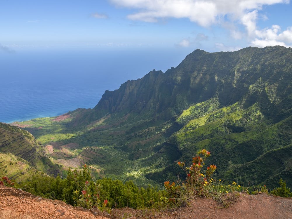 Hawaii 1