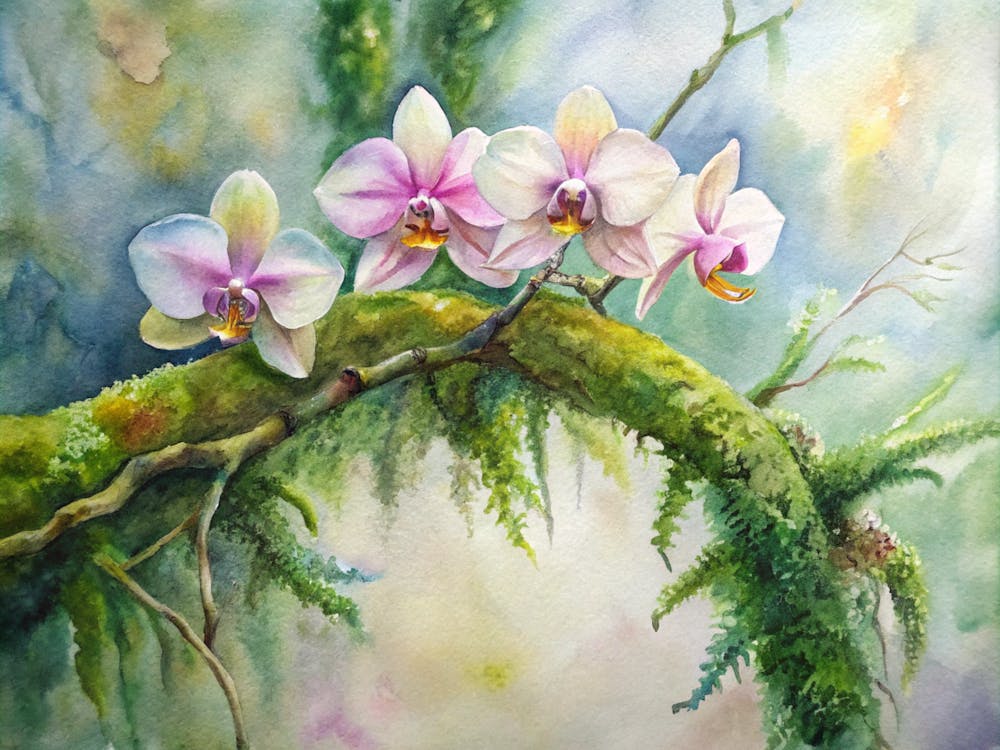 Orchids On Moss
