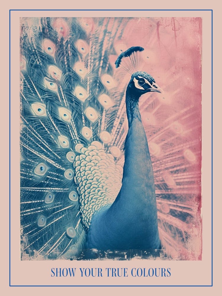 Pink & Blue Peacock Cyanotype Inspired 2