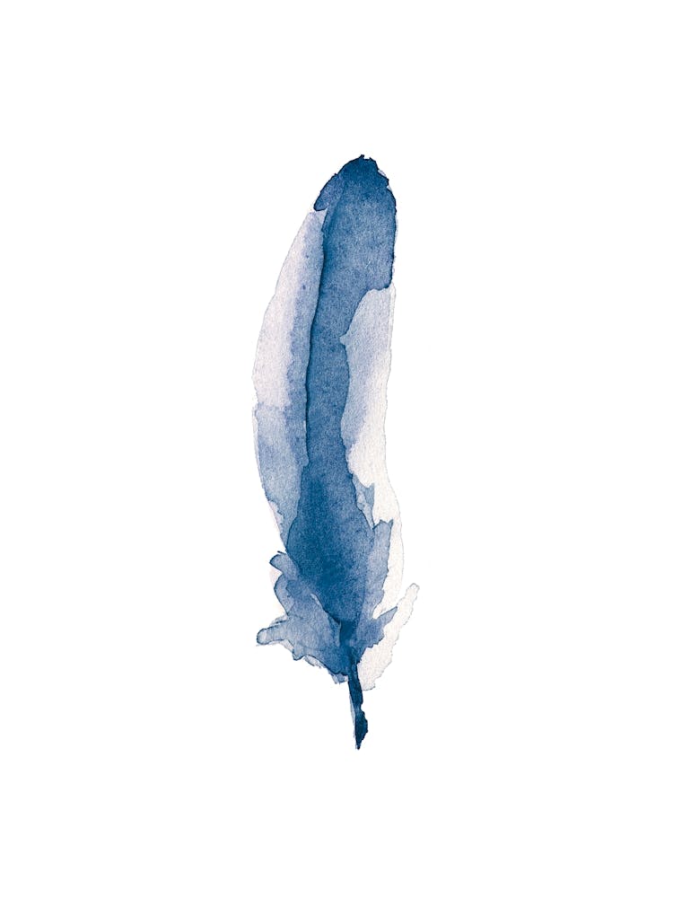 Watercolor illustration 'Blue Feather' No 105A