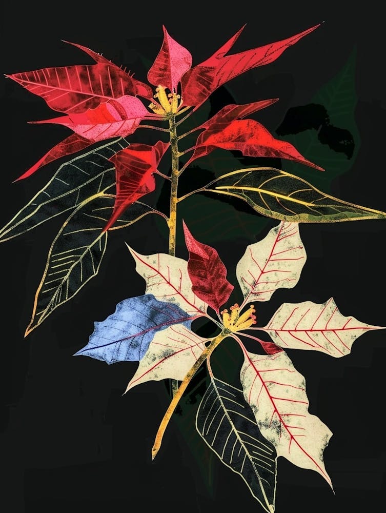 Neon Flowers On Black Poinsettia 2