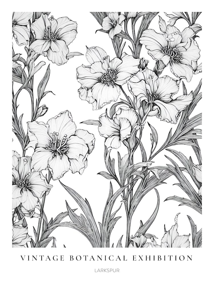 Larkspur B&W Vintage Botanical Poster